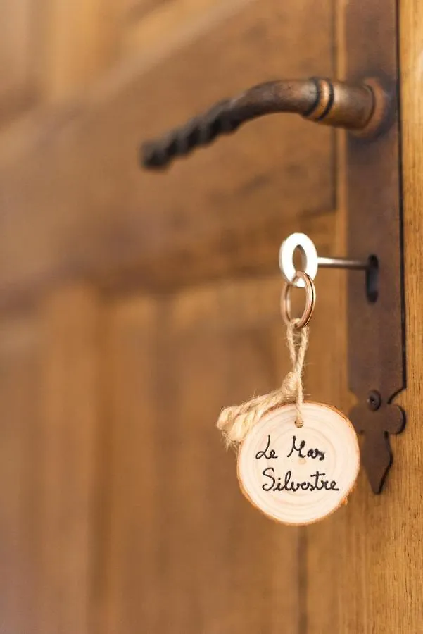 Guest house Le Mas Silvestre Saint-Saturnin-les-Apt