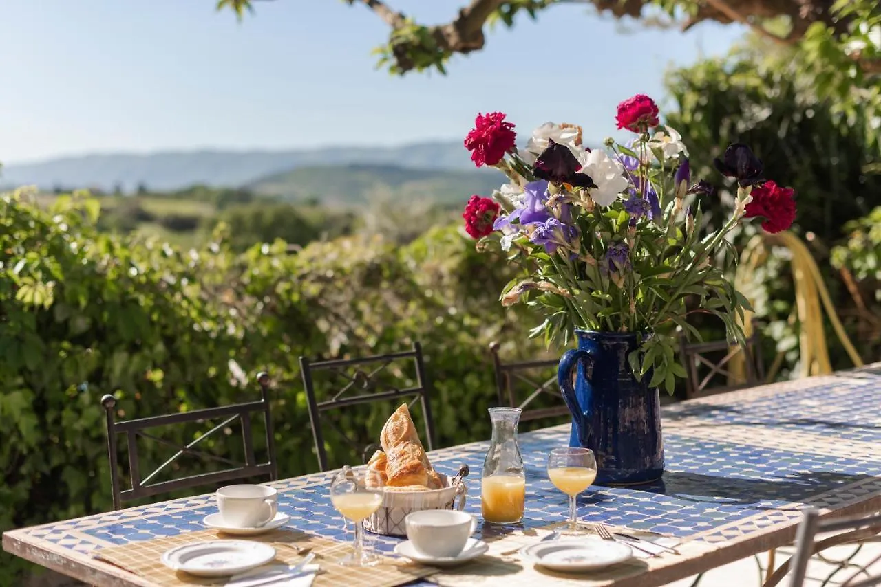 Le Mas Silvestre Saint-Saturnin-les-Apt Guest house